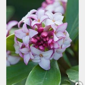 Meet your Posher, Steph